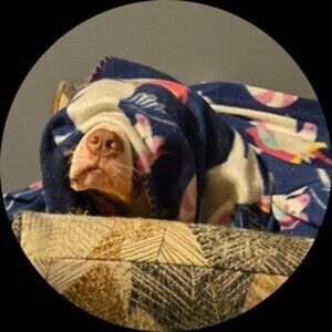 Meet your Posher, Thomas